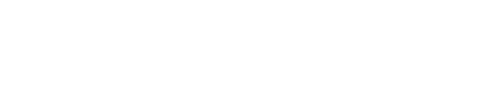 light logo